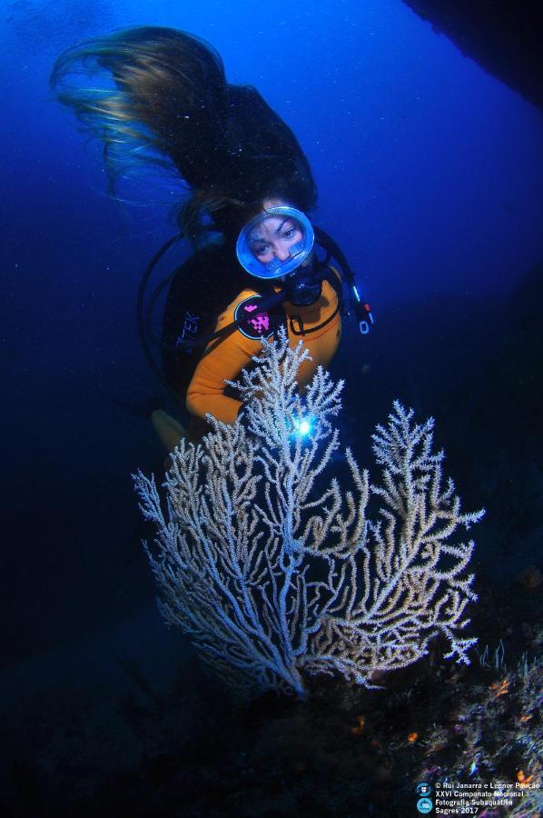 Puravida Divehouse Bed & Breakfast Сагрес Екстериор снимка